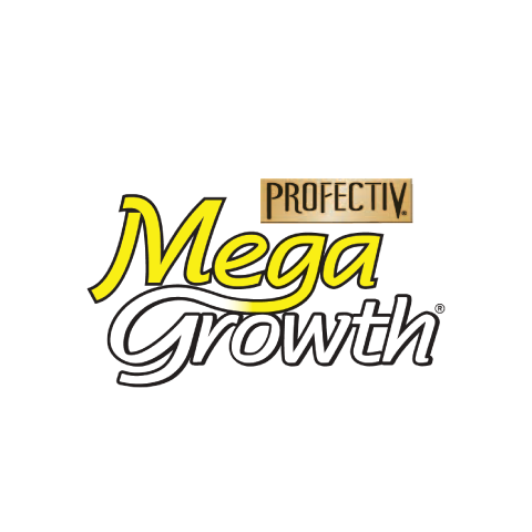 Mega Growth